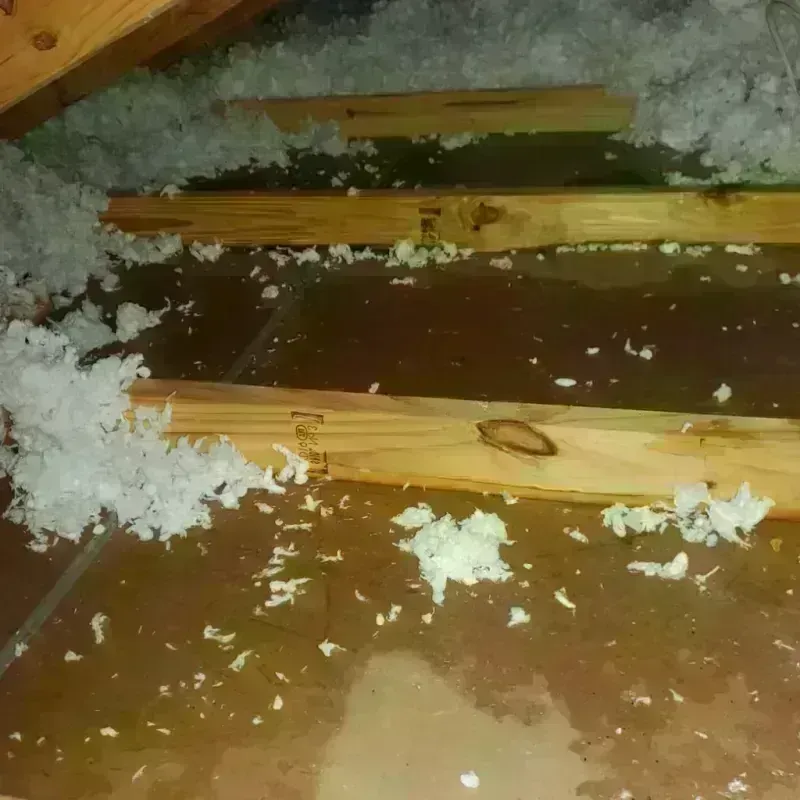 Attic Water Damage in Barberton, WA